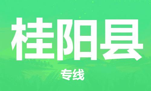 廈門到桂陽縣物流公司-物流專線快運(yùn)直達(dá)-「安全配送」